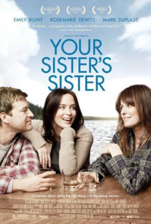 Vezi filmul El amigo de mi hermana (2011) [HDRIP]